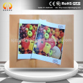 Eco Solvent matt Selbstklebendes PP synthetische Papierrolle